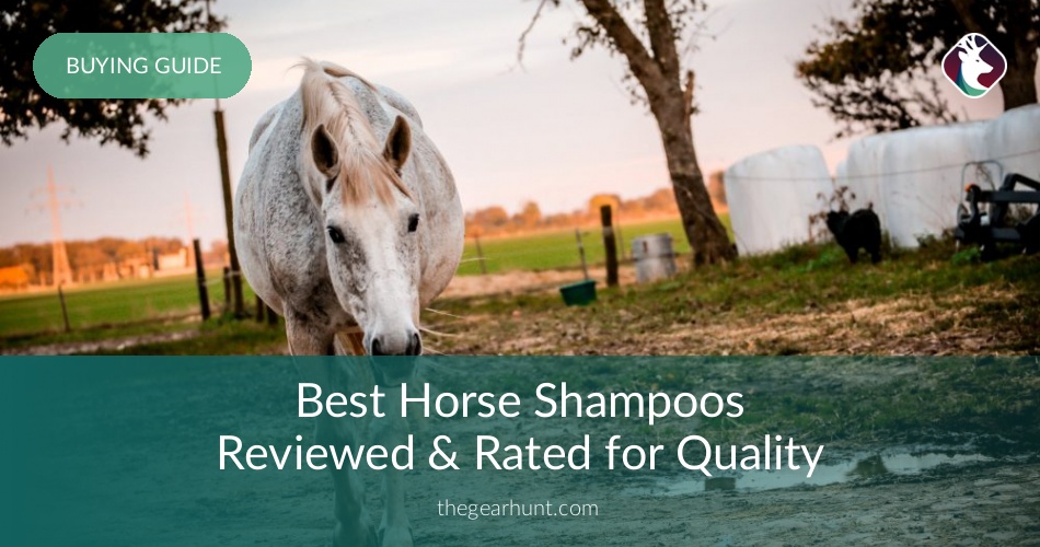 10 Best Horse Shampoos Reviewed in 2019 TheGearHunt