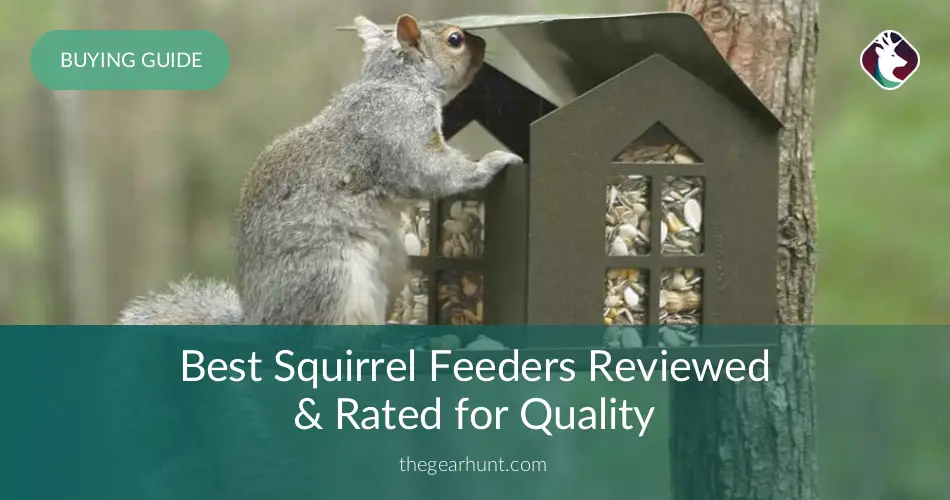 10 Best Squirrel Feeders Reviewed In 2020 Thegearhunt