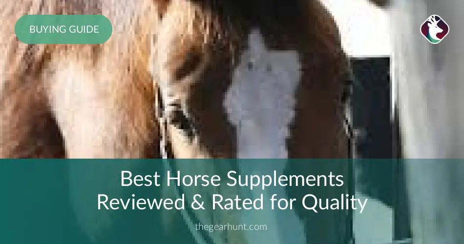 10 Best Horse Supplements Reviewed in 2019 | TheGearHunt