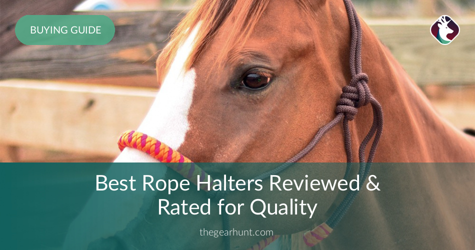 10 Best Rope Halters Reviewed in 2019 TheGearHunt