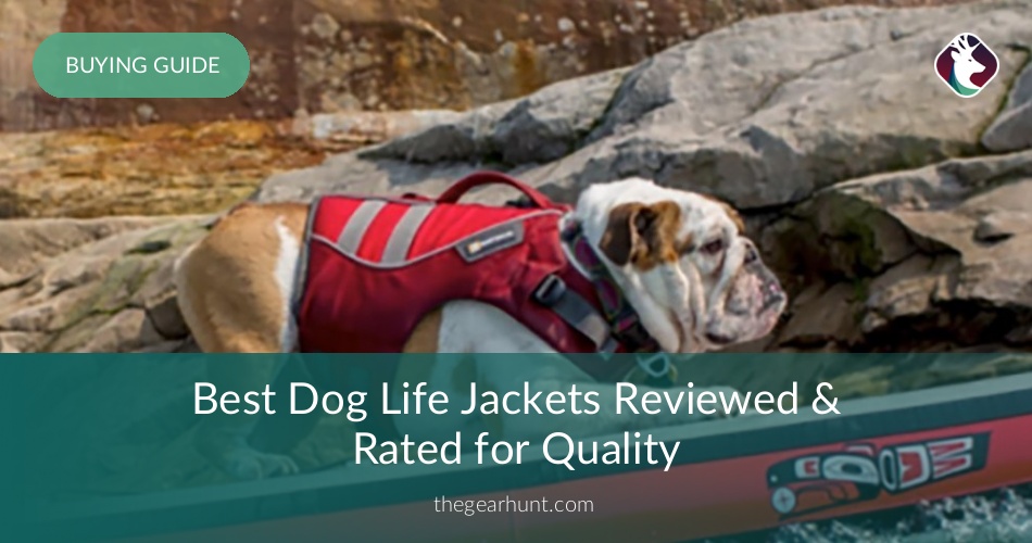 10 Best Dog Life Jackets Reviewed in 2019 TheGearHunt