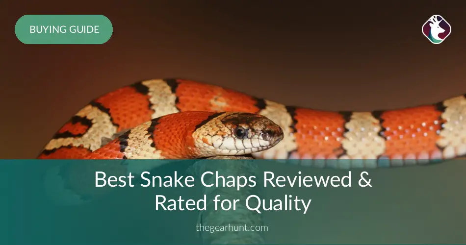 Best Snake Chaps Reviewed & Rated for Quality - TheGearHunt