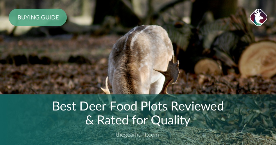 10 Best Deer Food Plots Reviewed in 2020 TheGearHunt