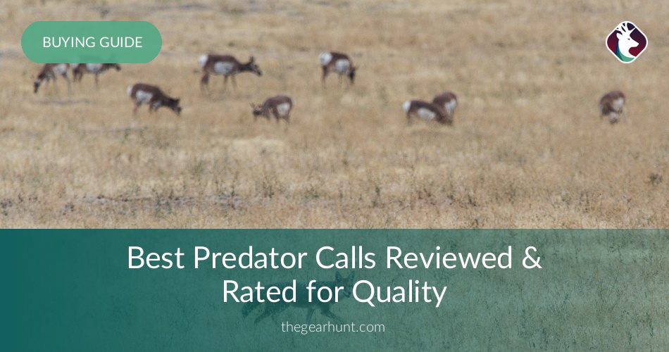 10 Best Predator Calls Reviewed in 2020 TheGearHunt