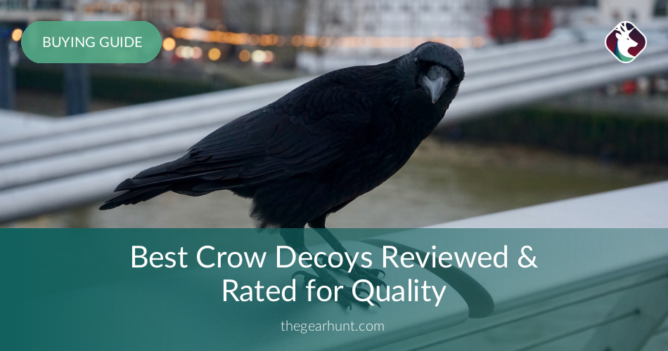 10 Best Crow Decoys Reviewed in 2019 | TheGearHunt