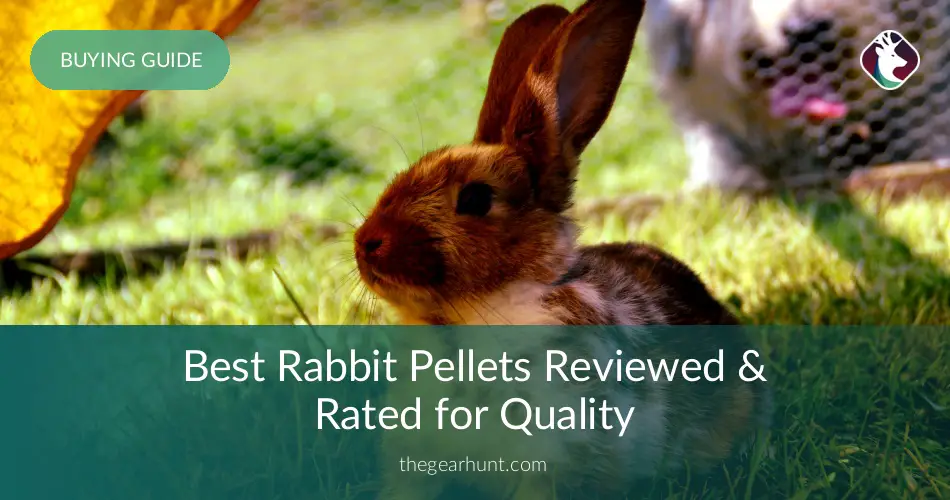 10 Best Rabbit Pellets Reviewed in 2019 | TheGearHunt