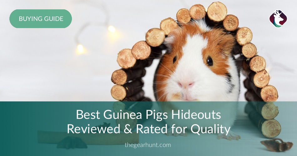 10 Best Guinea Pigs Hideouts Reviewed in 2019 TheGearHunt