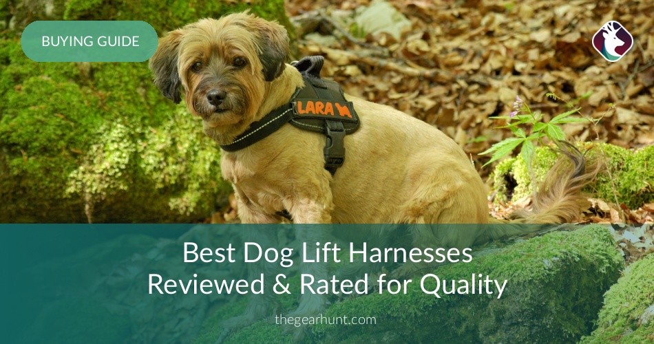 10 Best Dog Lift Harnesses Reviewed in 2020 TheGearHunt