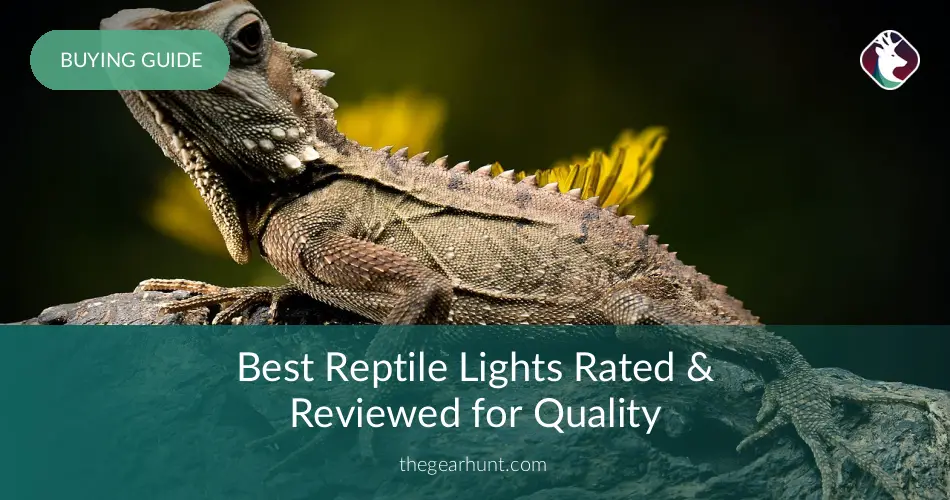 10 Best Reptile Lights Reviewed in 2020 TheGearHunt